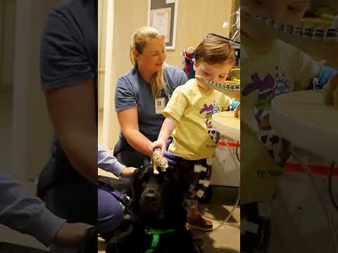 Behind The Scenes MUSC Hospital Dog Reel