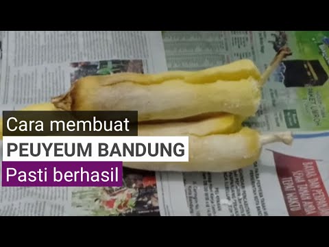 CARA MEMBUAT PEUYEUM BANDUNG TAPE SINGKONG MANIS DAN LEGIT CARA MEMBUAT PEUYEUM BANDUNG TAPE SINGKONG MANIS DAN LEGIT