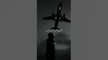 سيرينا يا دنيا 