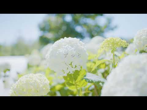 【lyric video】あたらよ - 憂い桜 / Sony α7siii