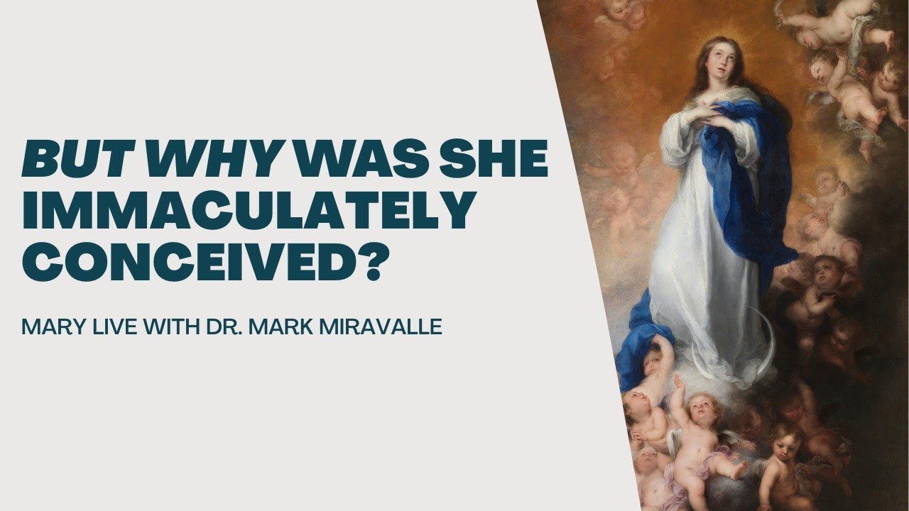Why Was Mary Immaculately Conceived? Mary Live with Dr. Mark