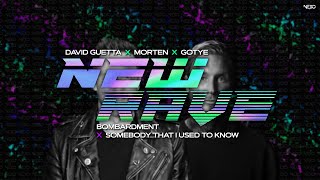 David Guetta X Gotye - Bombardment X Somebody That I Used To Know (David Guetta Fun Radio 2021 Edit)