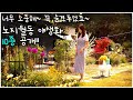 #69. 한번 식재로 매해 풍성해지는 노지월동 야생화 10종 추천ㅣ 다년생 야생화 키우기 관리법