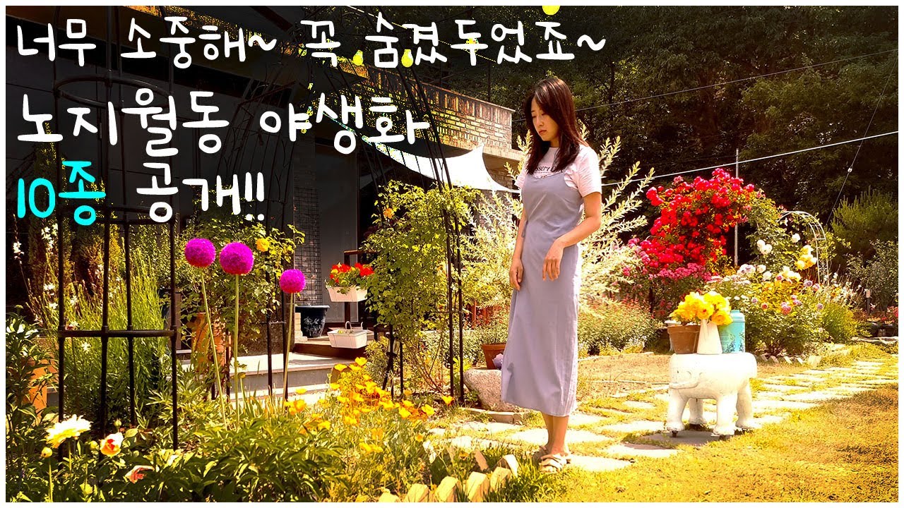 #69. 10 многолетних цветов, которые стоит посадить в 2025 году