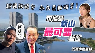 【新山新機遇】三大超強勁後台｜新山蘇丹主打地區新盤｜政府也入市