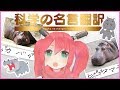 【英語】マスターはわかる?科学の名言を翻訳せよ!【バーチャルYouTuber】