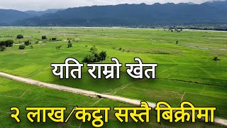 १४ मिटर पिच हुन लागेको रोड नजिकै |sasto khet bikrima | agriculture | ghar jagganepal| by 3rdeye33 |