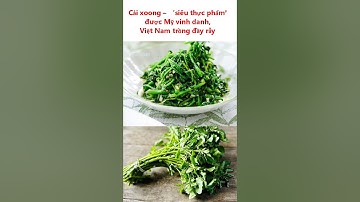 Cải xoong – ‘siêu thực phẩm’ được Mỹ vinh danh, Việt Nam trồng đầy rẫy