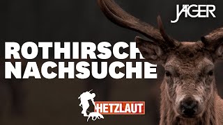 Hetzlaut: 14 km Hetze auf Rothirsch! | JÄGER Nachsuchen mit Chris Balke