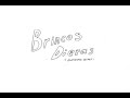 Brincos dieras