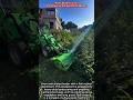 From Brush to Lush | The Power of the Avant Flail Mower