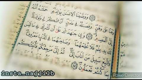 سورة لقمان الآية ١٤ - ١٥💙عبدالله خلف