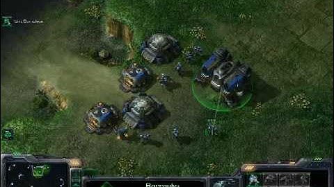 StarCraft 2 (Beta) Review on a GeForce 9600 GSO