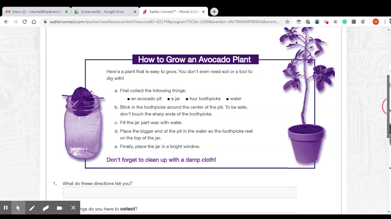 WK 38, Vocabulary, How To Grow an Avocado Plant - YouTube