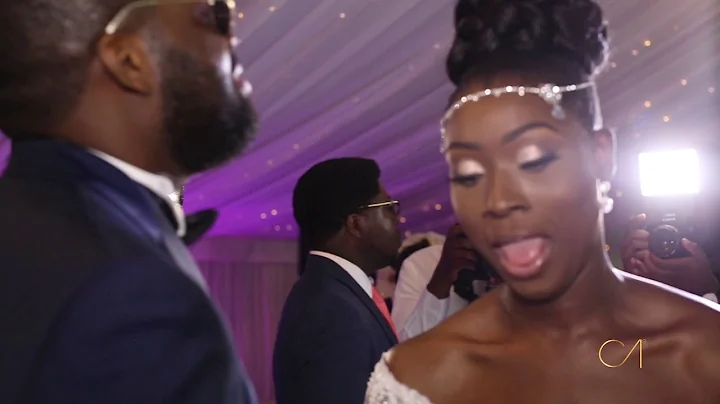 Dami + Seun : Wedding Film (Fennes)