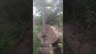 Never before seen photos that will surprise you # shorts