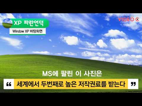 [Video C] 이게 CG가 아니라 실사야?