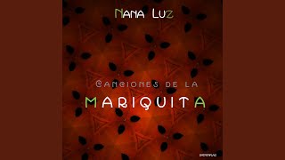 Video thumbnail of "Nana Luz - Soy Colibrí"