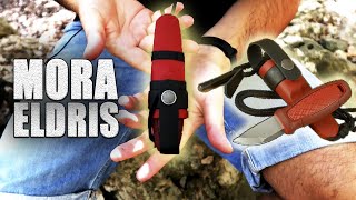 MORA ELDRIS | 10 COSAS que PUEDES HACER + 2 que NO PUEDES HACER | Extra: Consejos de porte y USO