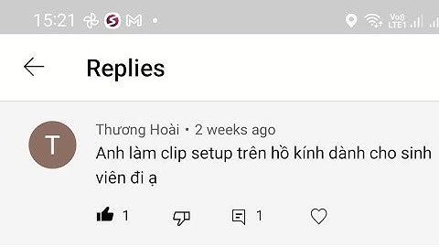 Cách set hồ cá vàng cho sinh viên