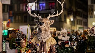 Tagwach SchmuDo Luzerner Fasnacht 2024 | Noggeler, Näbelhüüler, Födlitätscher, Nostradamus, PGL uvm.