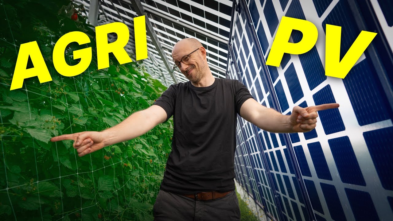 Agri-PV wird die Landwirtschaft revolutionieren. Mehr Ernte und mehr Einkommen.