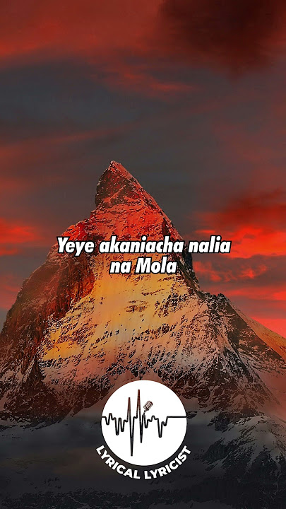 🎶 Alikiba - Dushelele (Lyrics)