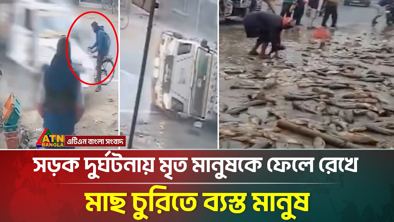 সড়ক দু'র্ঘ'ট'না'য় মৃ/ত মানুষকে উপেক্ষা করে মাছ চুরিতে ব্যস্ত মানুষ!  Fish | Road | ATN Bangla News