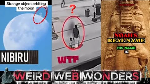 weird web wonders vol 80