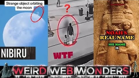 weird web wonders vol 80