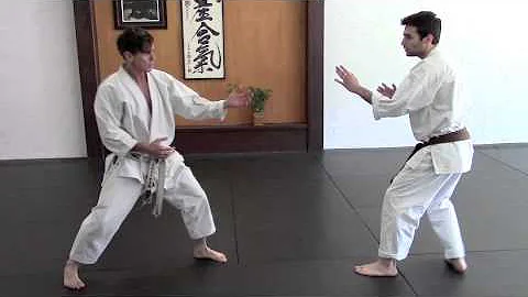 Back Kick - Ushiro Geri and Defense to Back Kick