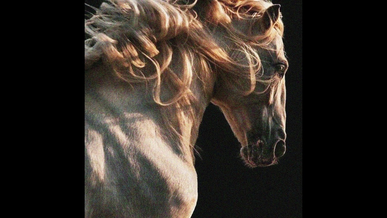 (free) Kanye West x TLOP x Sapjer type beat 