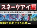 【遊戯王】スネークアイの背景を徹底解説【罪宝ストーリー】