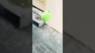 Balloon K Sat Khalty Howa