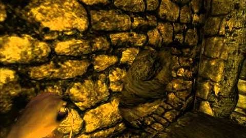 Amnesia - Custom Story - Martins Survival