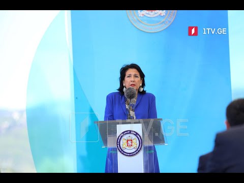 „ქართული დიასპორა საქართველოს ევროპული მომავლისთვის“