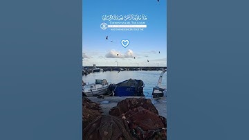 سورة يس ♡ ياسر الدوسري ♡ (51-53)
