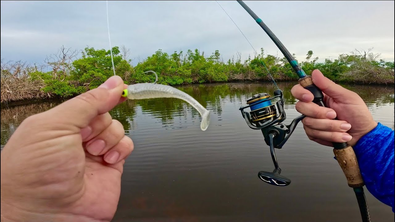 Cape Coral Wade Fishing for Tarpon & Snook