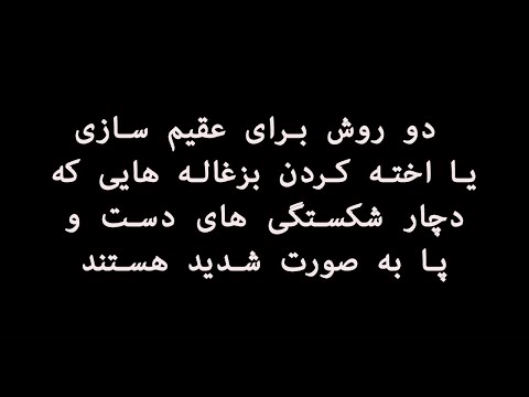 دو روش برای عقیم سازی یا اخته کردن بزغاله هایی که دچار شکستگی های دست و پا به صورت شدید هستند 