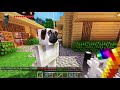 Как Вырастить Эндер Дракона в Майнкрафт ПЕ выживание моды видео игра мультик для детей Minecraft Как Вырастить Эндер Дракона в Майнкрафт ПЕ выживание моды видео игра мультик для детей Minecraft