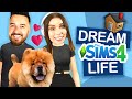 Let’s Play My Dream Life part 1