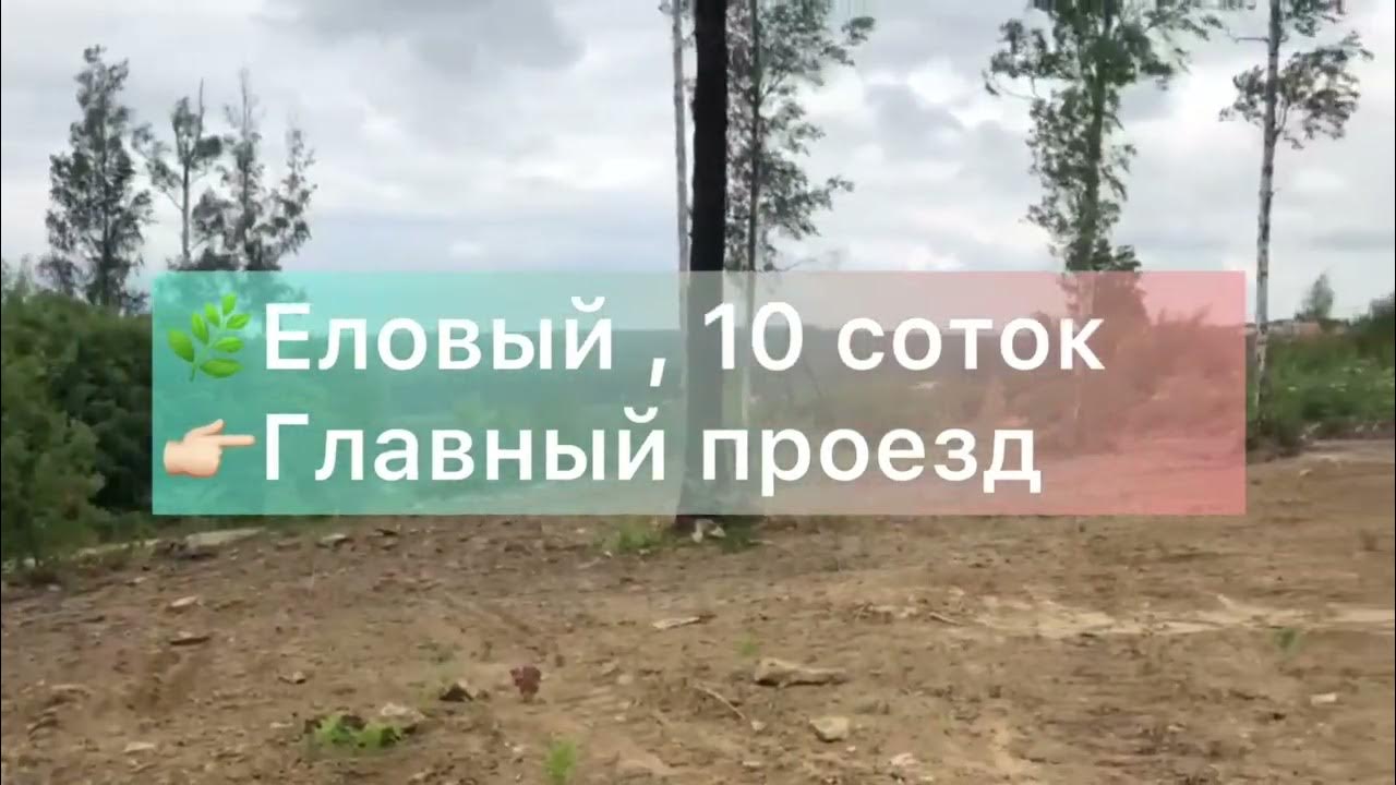 Главный проезд. Главный проезд