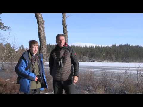 Cairngorms Nature Young