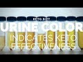 How Urine Color Can Reveal If the Ketogenic Diet Is Working