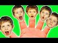 Finger Family | Daddy Finger | Kids Song | Family Song