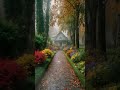 편안한 마음을 위한 빗소리 ️🚶♀️빗소리 들어보세요 #rain #rainsounds #relax