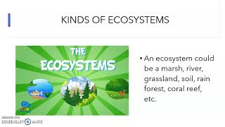 Ecosystem Science Class Grade 4°