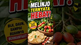 Fakta unik melinjo!!😱 #faktaunik #shorts #shortvideo #shortsfeed #farming