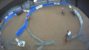Big Sky Ranch Sorting Saddle Series #6 - Open - Round #2 - Ride #12
