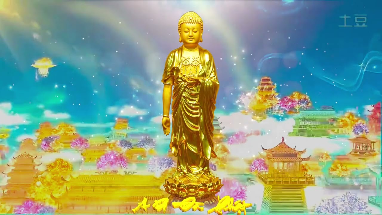 NIỆM PHẬT - HỘ NIỆM CÙNG ĐẠI ĐỨC THÍCH TỊNH HẢI Ngày 24/12/2025